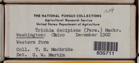 Image Associated With the Occurence